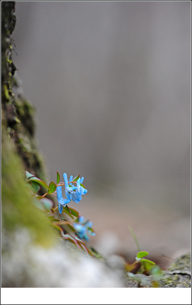 DSC_1753-1.jpg