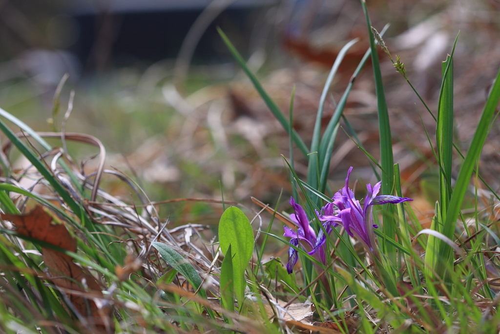 20100430_030.JPG