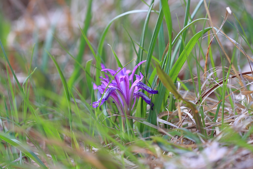 20100430_032.JPG