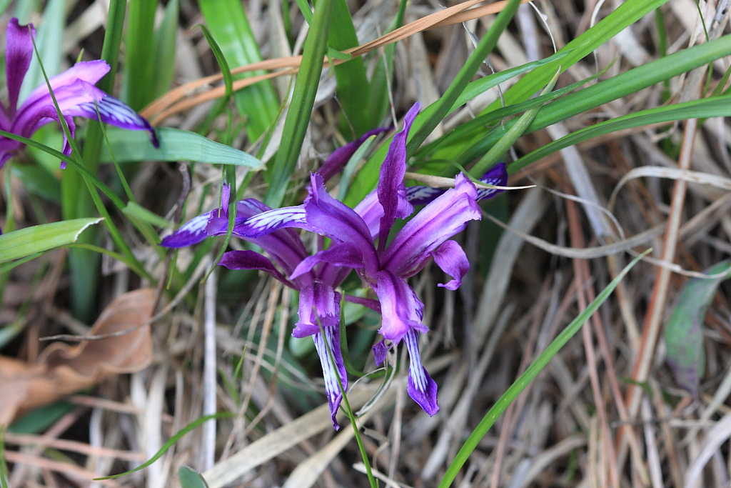 20100430_035.JPG