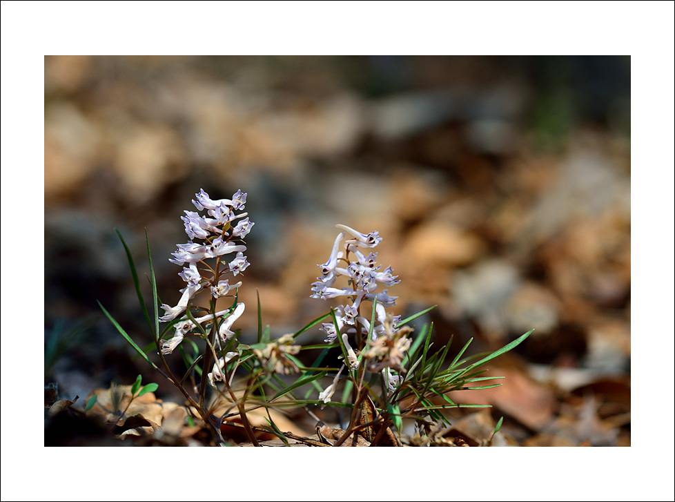 DSC_5914.jpg