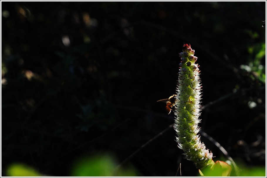DSC_3793.jpg