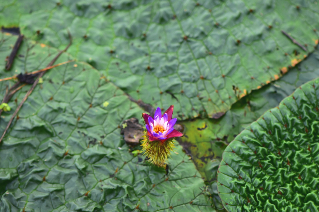 DSC_5063.JPG