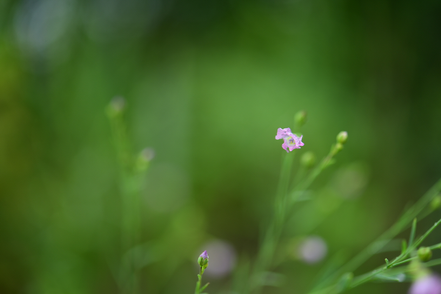 크기변환_DSC_5106.JPG