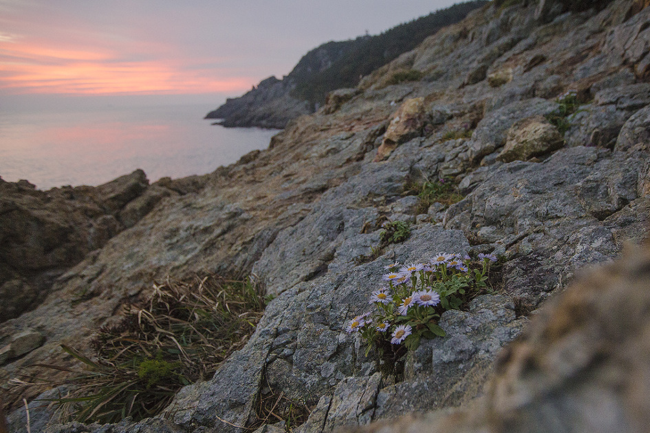 _KP_0094.jpg