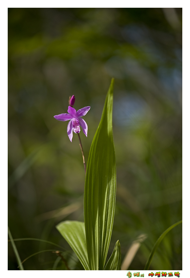 DSC_3760-1.jpg