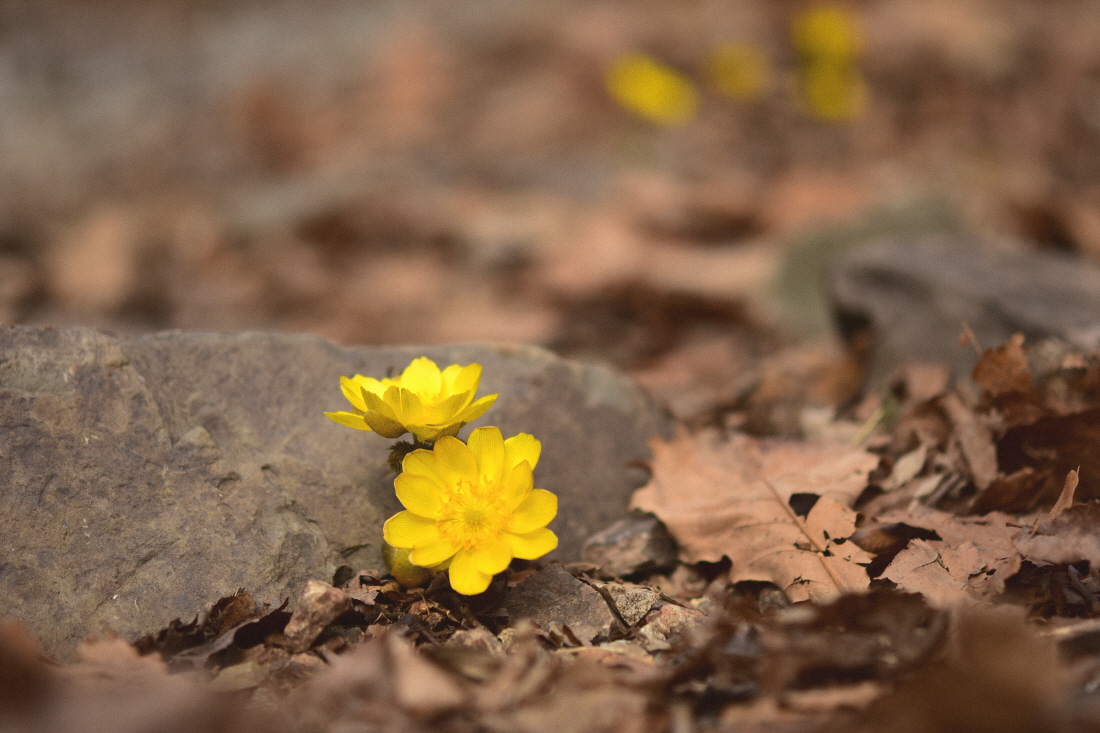 DSC_3925.JPG