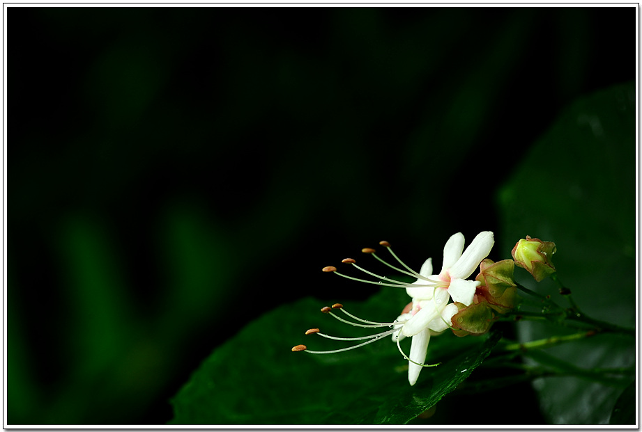 20100723_3487.jpg