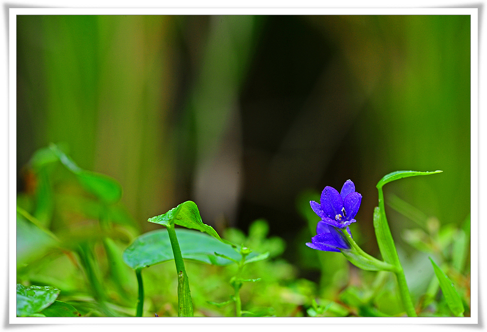 DSC_2882-1.jpg