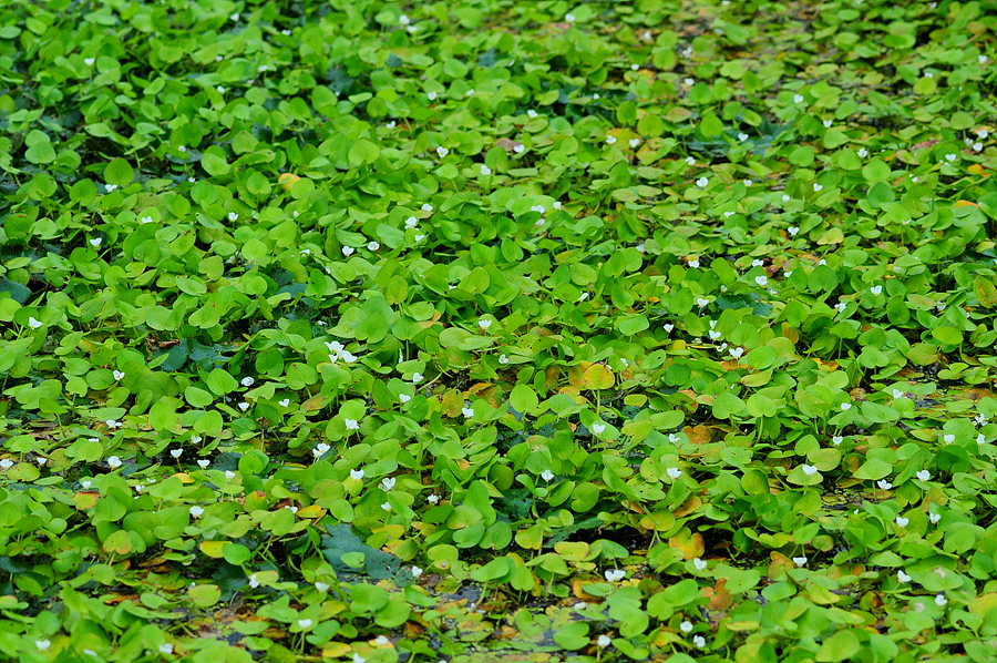 DSC_5744.jpg