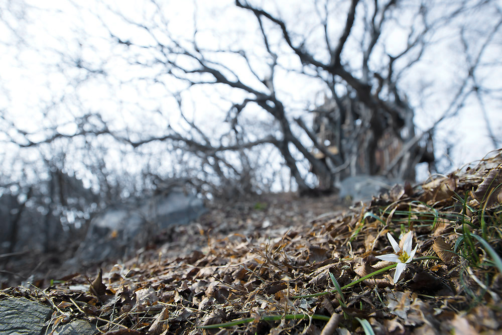 20140315_0038a-1.jpg