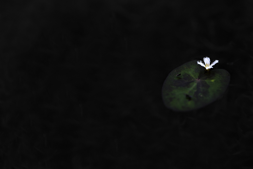 _78W7697.jpg