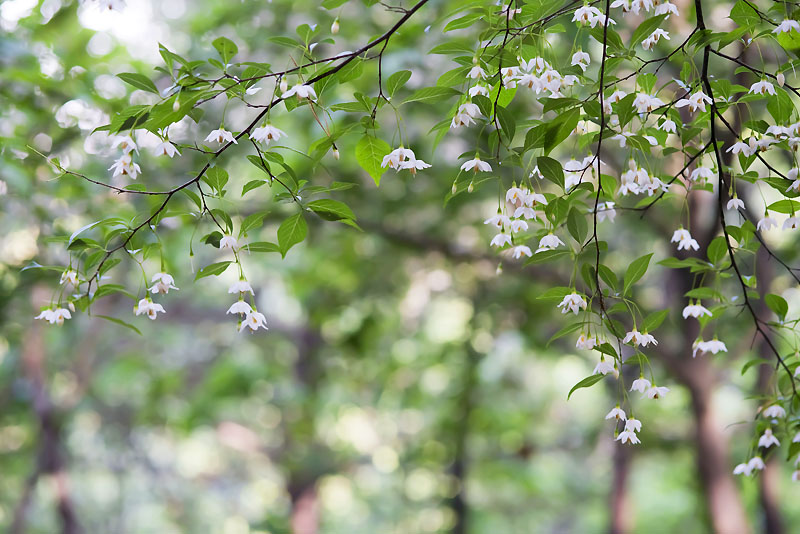 20130531_0018a-1.jpg