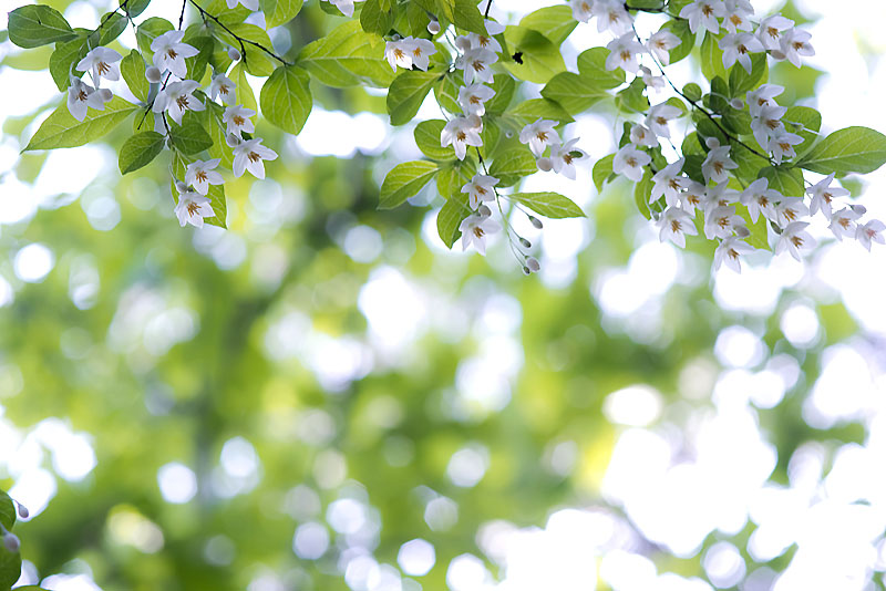 20130531_0013a-1.jpg