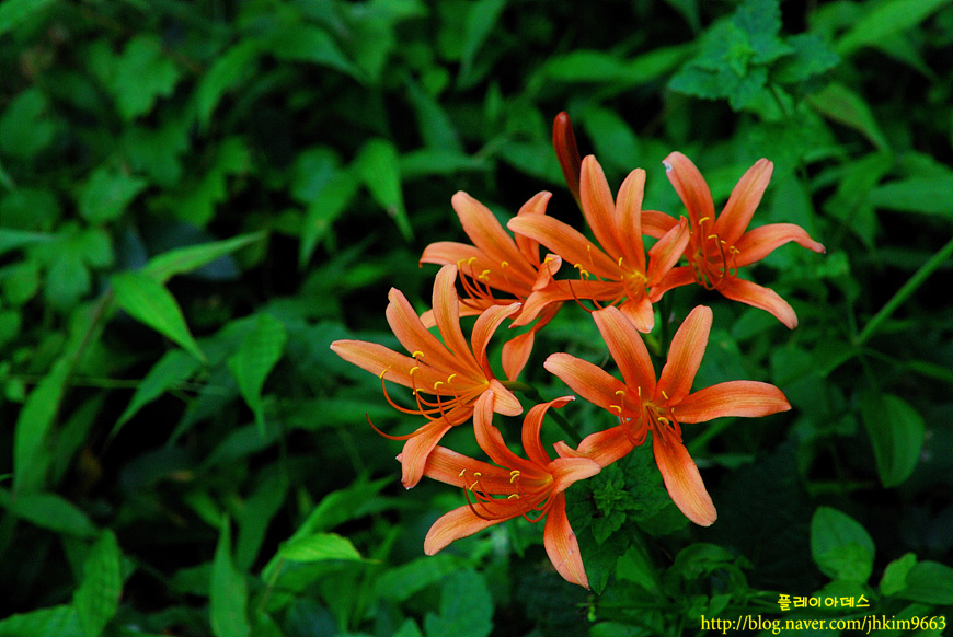 DSC_5536.jpg