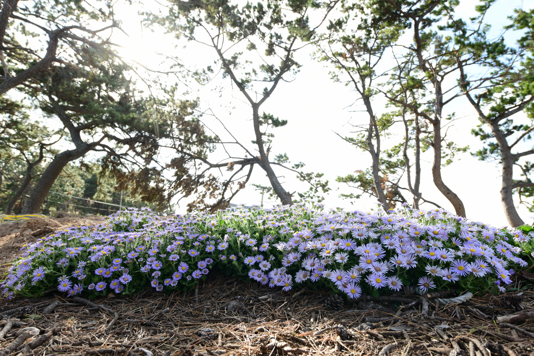 크기변환_DSC_5017.JPG