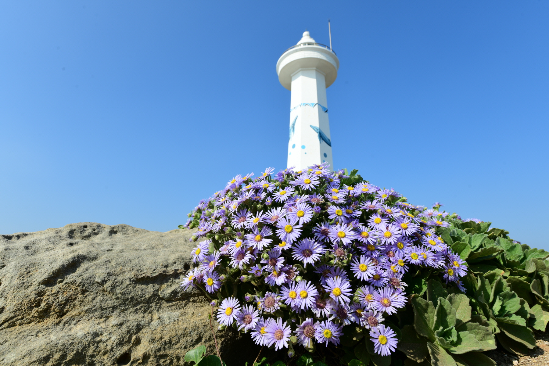 크기변환_DSC_4756.JPG