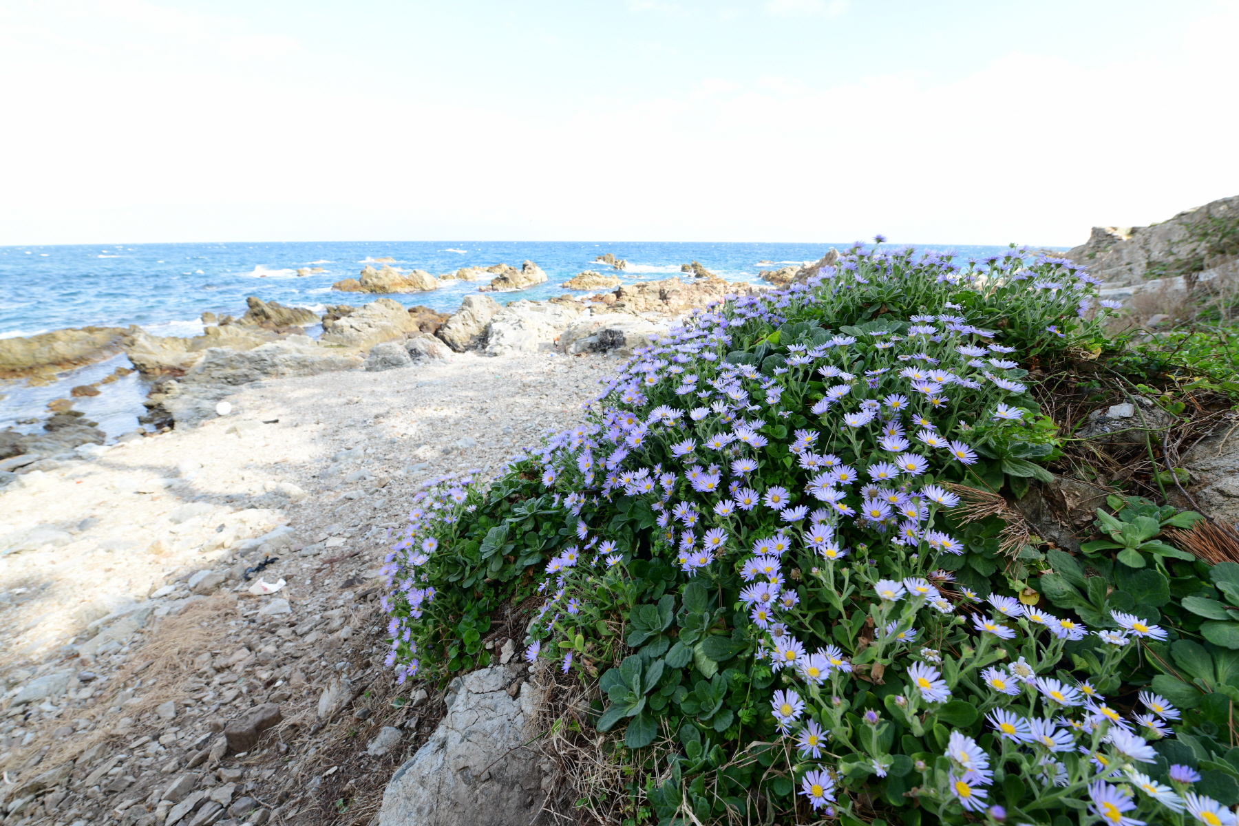 크기변환_DSC_4925.JPG
