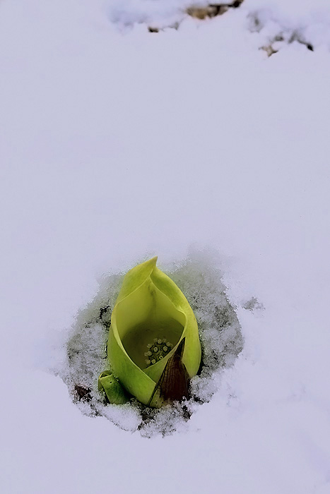 작품8.jpg