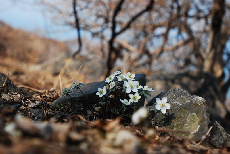 크기변환_DSC_0189.JPG