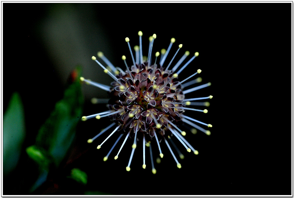 DSC_6819.jpg