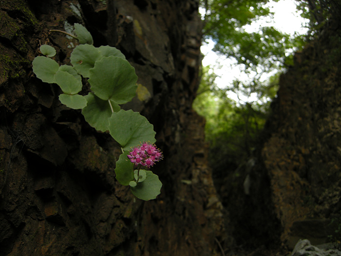 사진 088.jpg