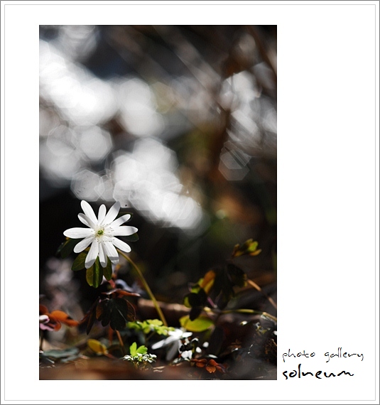 11-23 palgong(11-04-20) 098ss.jpg