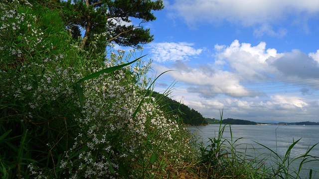 L1030111.jpg