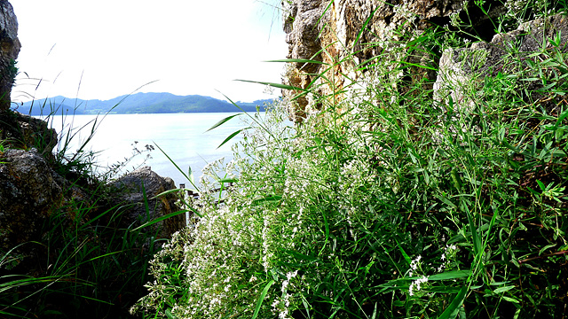 L1030056.jpg