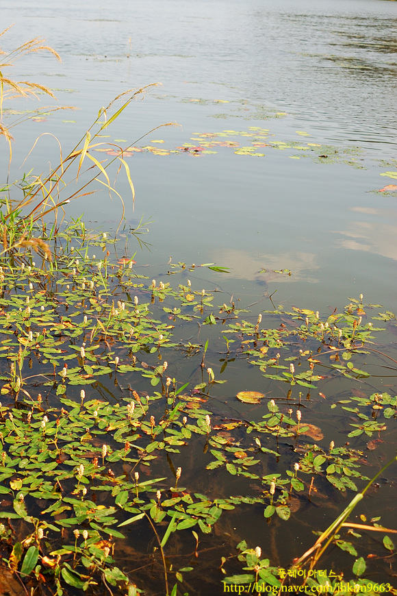 DSC_8885.jpg