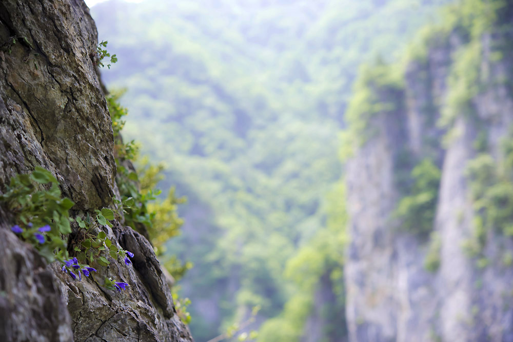 20140601_0047a-1.jpg