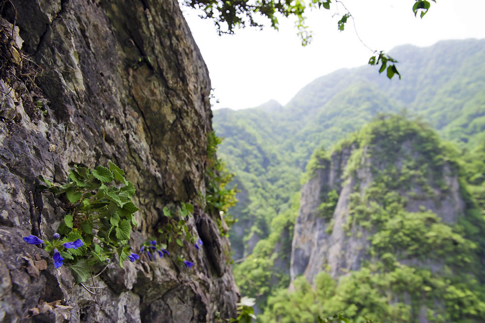 20140601_0026a-1.jpg