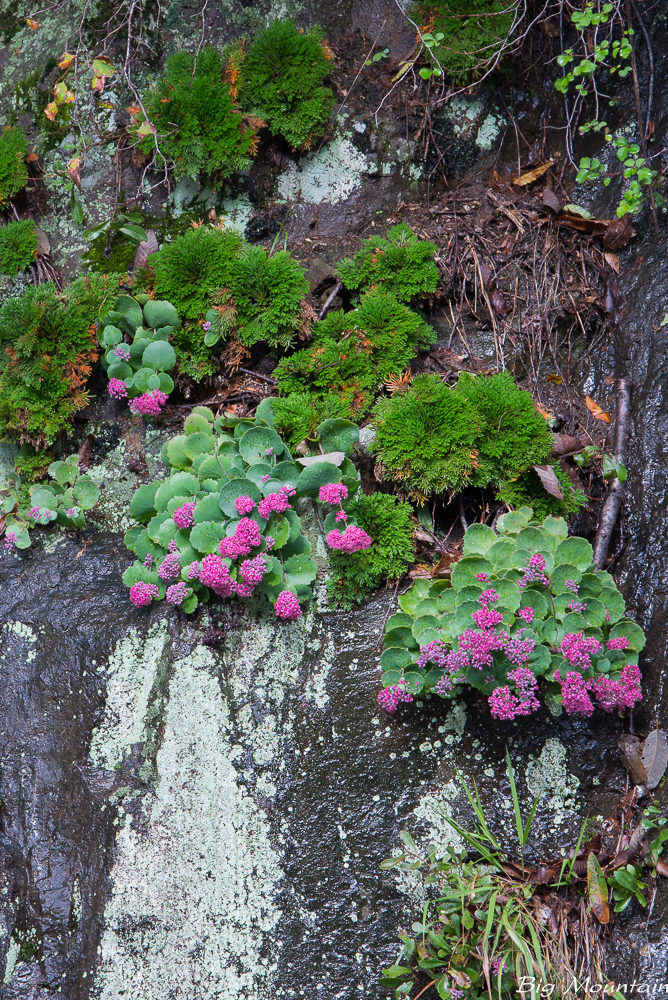 _DSC9654.jpg