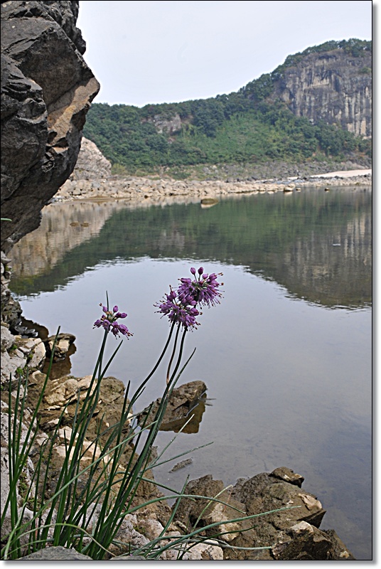 DSC_9543.JPG