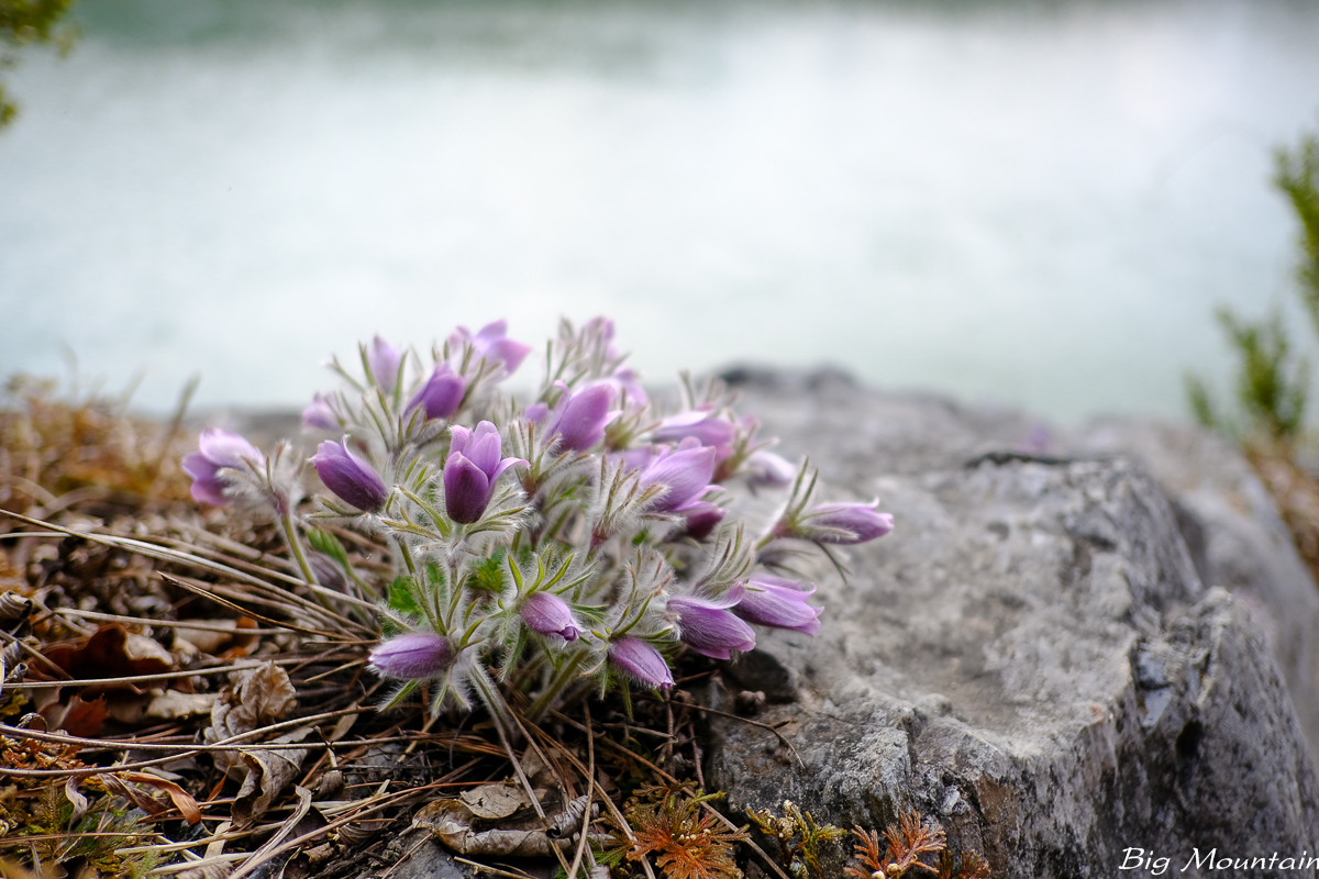 667021F9-B7C9-4D92-8D24-1F8C591C5FD0.jpeg