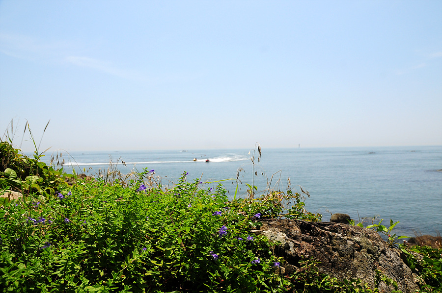 DSC_4500.jpg