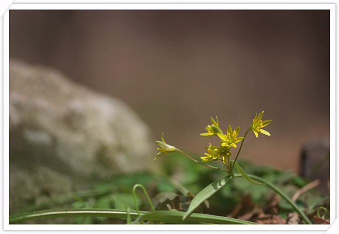 DSCF3238.jpg