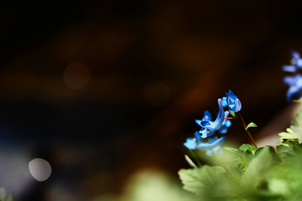 DSC_3149-1.jpg