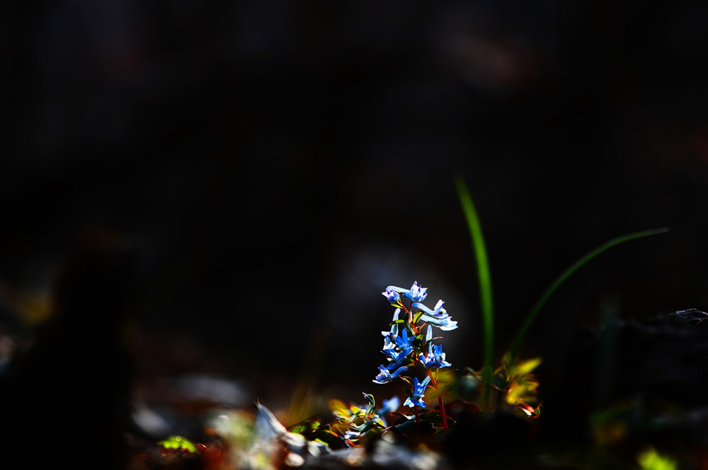 DSC_3419-1.jpg