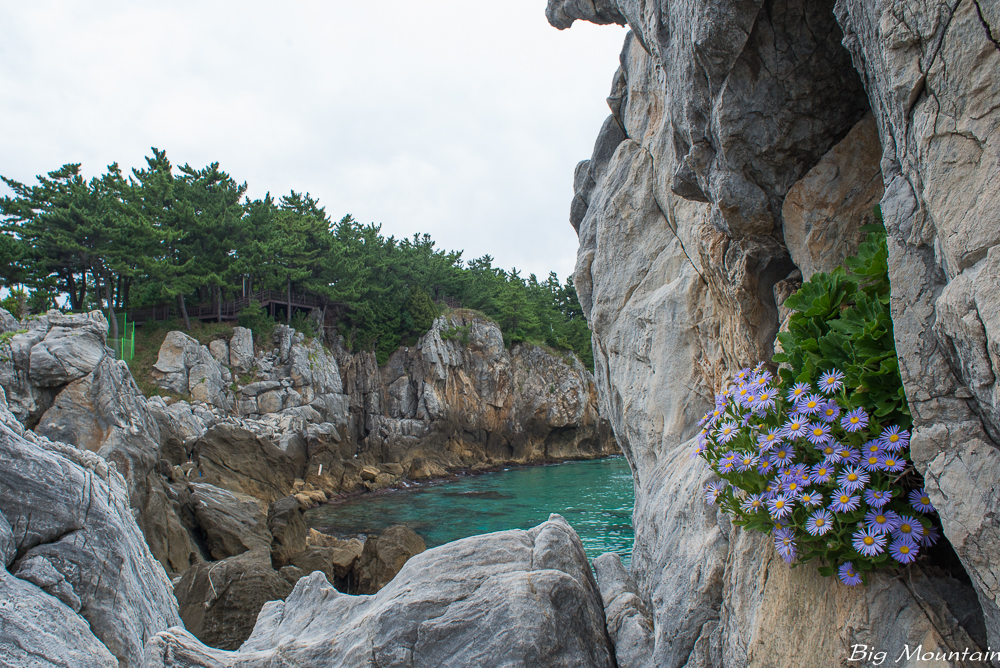 _DSC8897.jpg