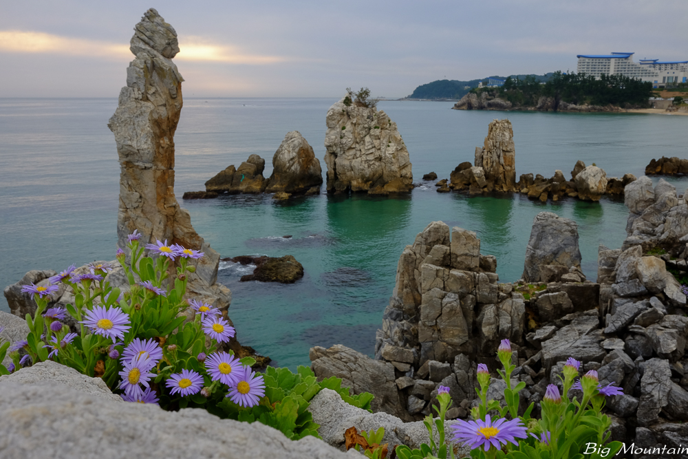 DSCF5941.jpg