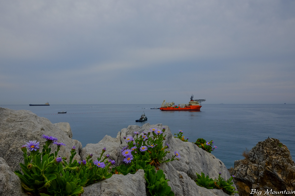 DSCF5955.jpg