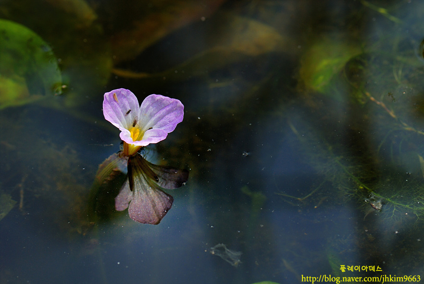 DSC_8620.jpg