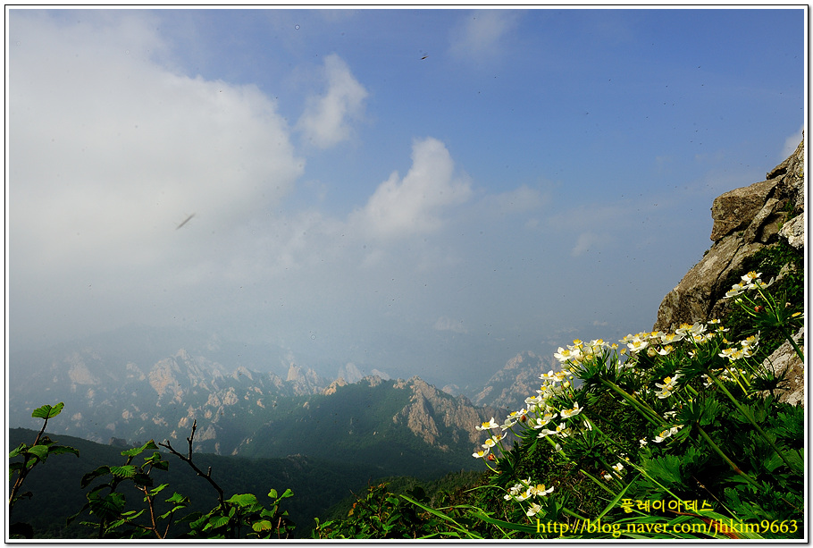 DSC_5722.jpg