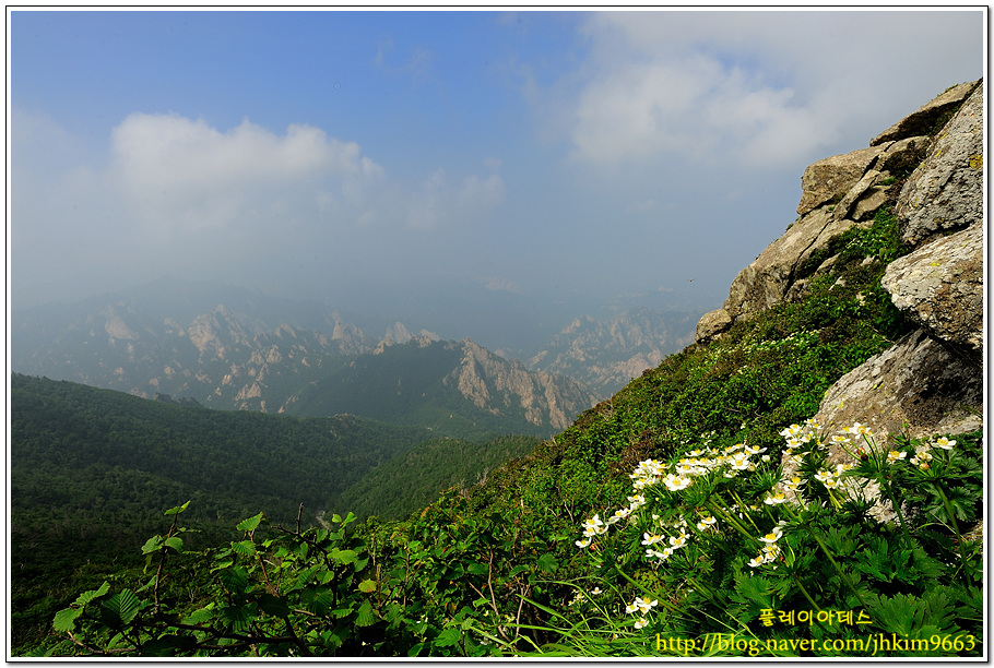 DSC_5709.jpg