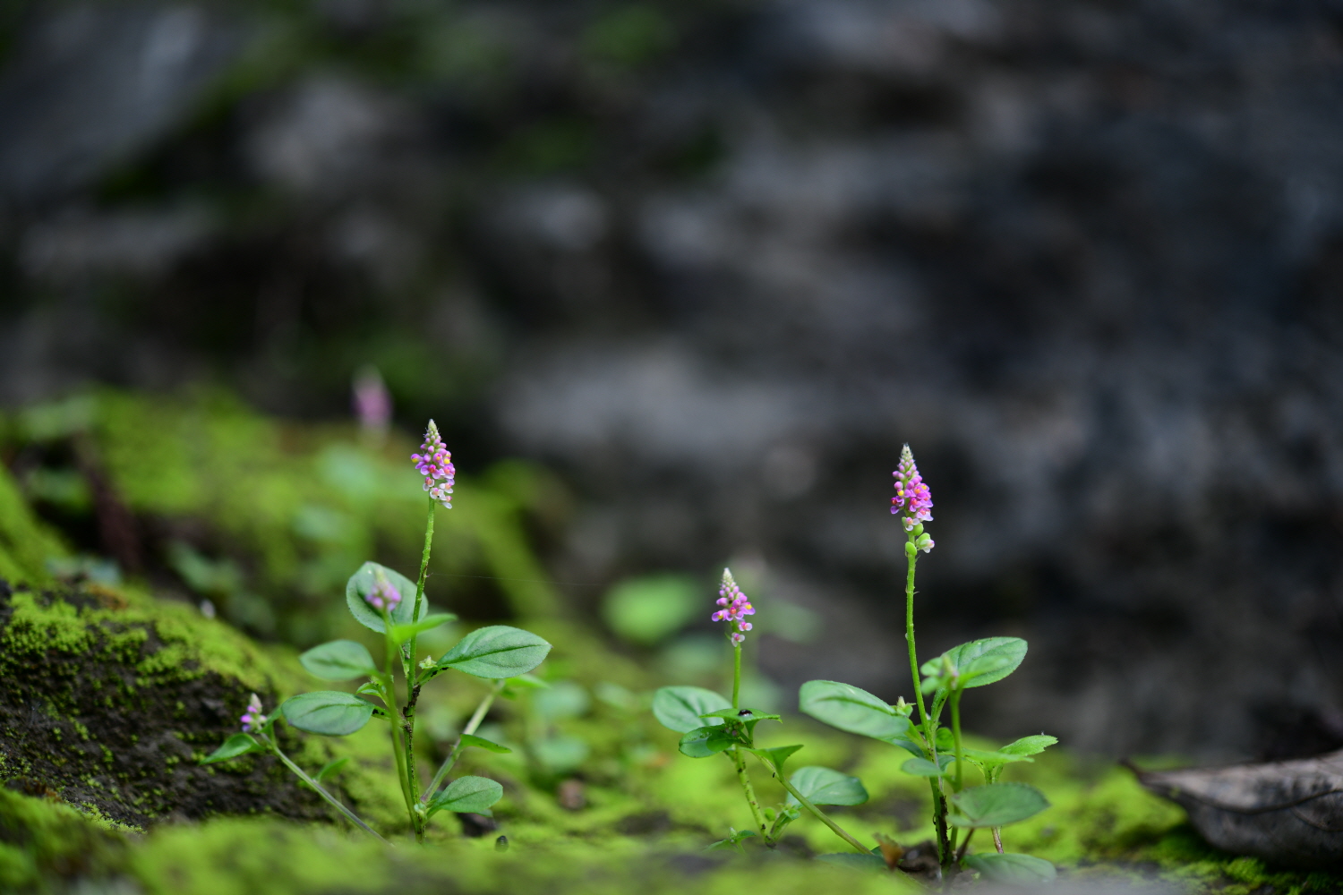 크기변환_DSC_7879.JPG