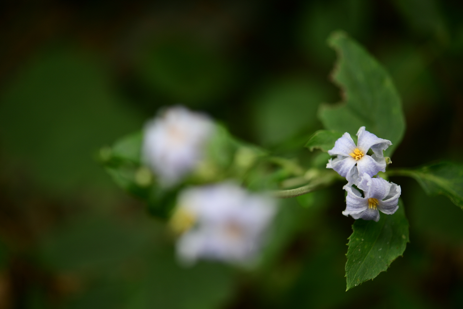 크기변환_DSC_5305.JPG