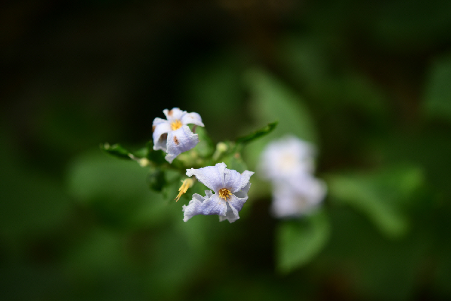 크기변환_DSC_5228.JPG