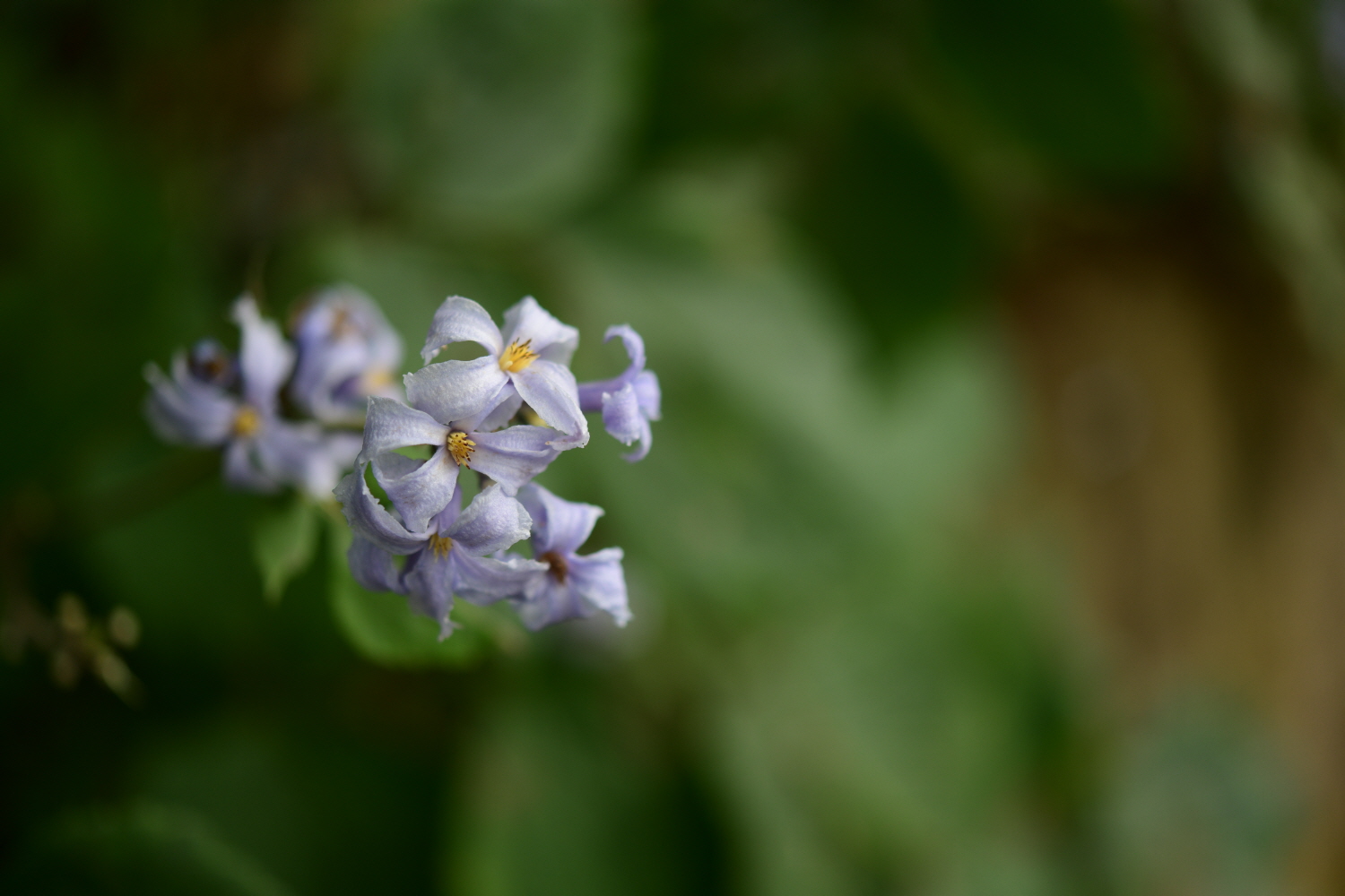 크기변환_DSC_5254.JPG