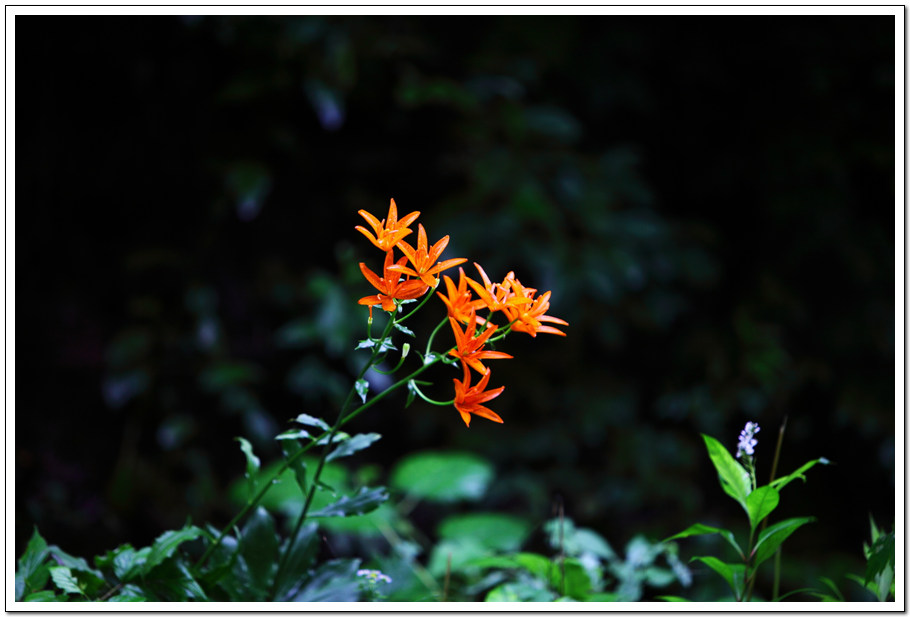 IMG_9837.jpg
